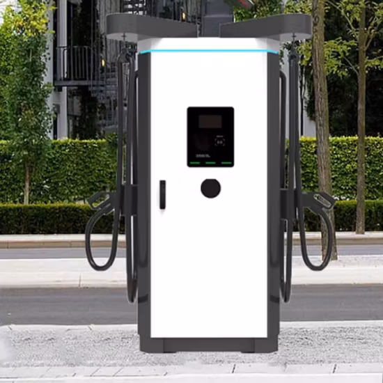 Зарядная станция для электромобилей для государственной компании Зарядная станция для электромобилей с двумя пистолетами